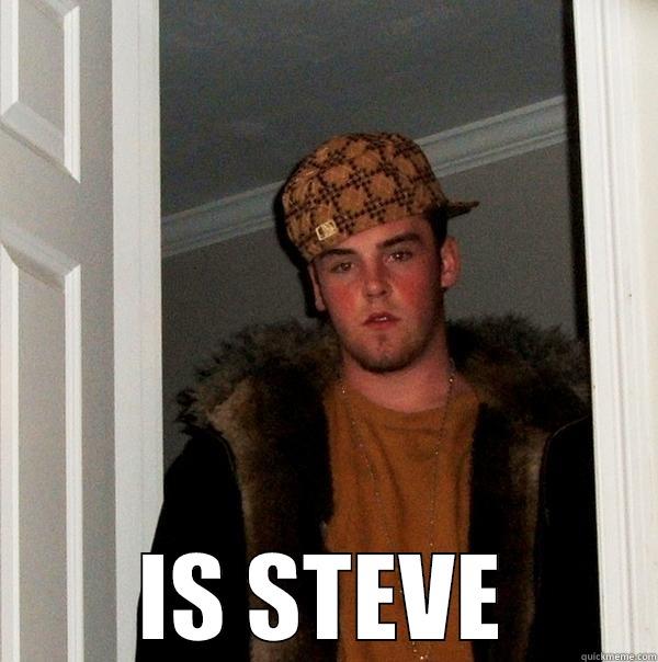  IS STEVE Scumbag Steve