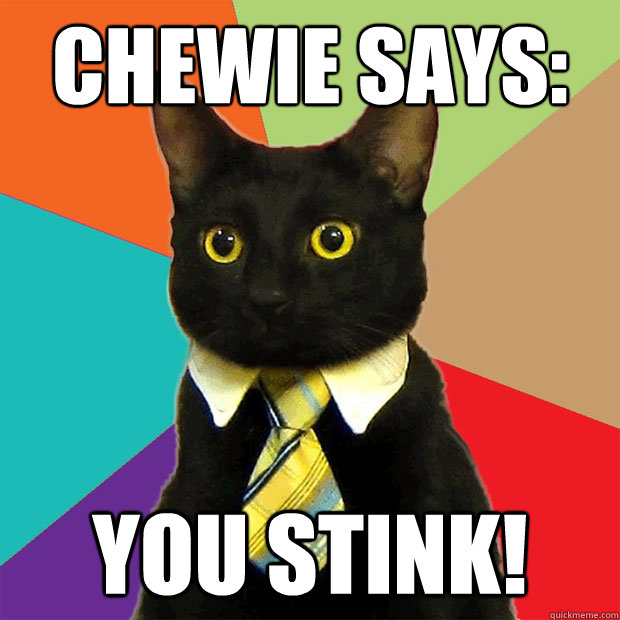 CHEWIE SAYS: YOU STINK! - CHEWIE SAYS: YOU STINK!  Business Cat