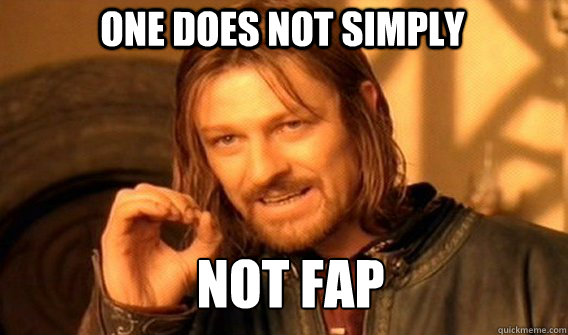 One does not simply NOT FAP  Boromir