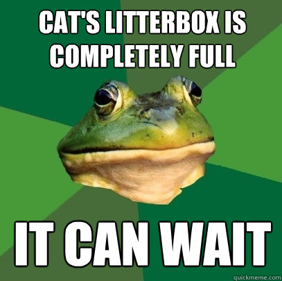 cat's litterbox is completely full it can wait  Foul Bachelor Frog