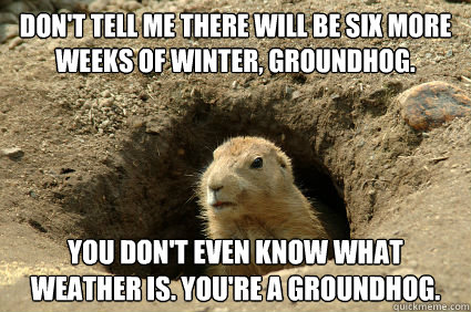 Don't tell me there will be six more weeks of winter, groundhog. you don't even know what weather is. you're a groundhog.  Groundhog Day