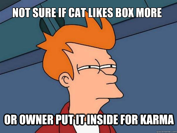 Not sure if cat likes box more or owner put it inside for karma  Futurama Fry