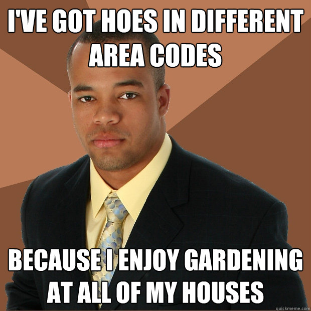 I've got hoes in different area codes because I enjoy gardening at all of my houses - I've got hoes in different area codes because I enjoy gardening at all of my houses  Successful Black Man