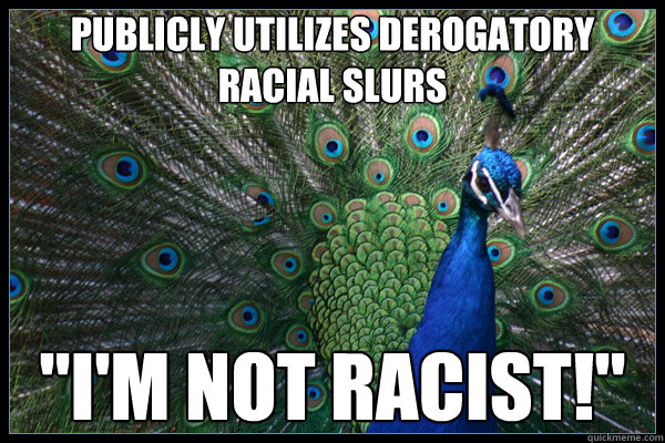 Publicly utilizes derogatory racial slurs 