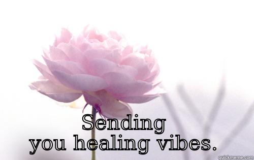  SENDING YOU HEALING VIBES. Misc