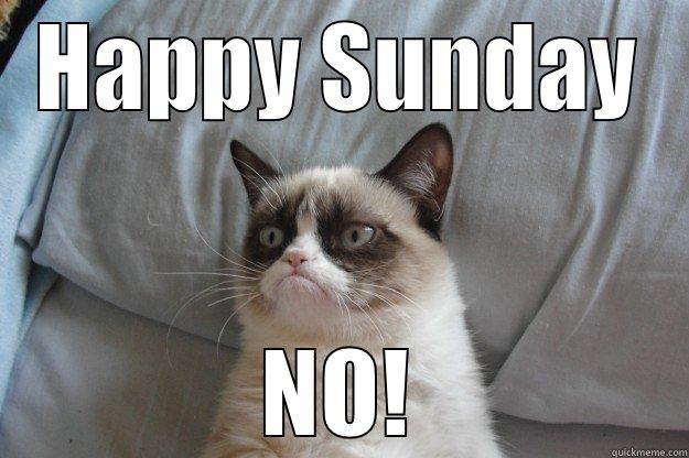HAPPY SUNDAY NO! Grumpy Cat