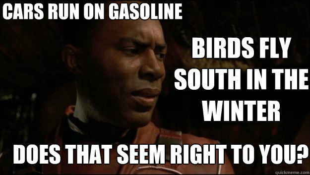 CARS RUN ON GASOLINE DOES THAT SEEM RIGHT TO YOU? BIRDS FLY SOUTH IN THE WINTER - CARS RUN ON GASOLINE DOES THAT SEEM RIGHT TO YOU? BIRDS FLY SOUTH IN THE WINTER  Contemplative Villain