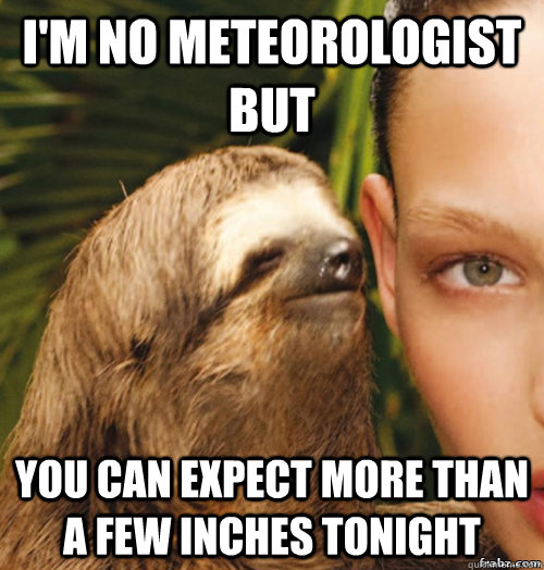 I'm no meteorologist but You can expect more than a few inches tonight  rape sloth