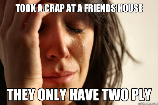 took a crap at a friends house They only have two ply   First World Problems