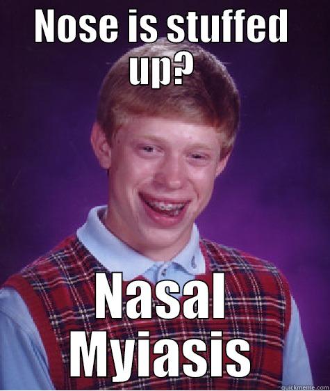 NOSE IS STUFFED UP? NASAL MYIASIS Bad Luck Brian