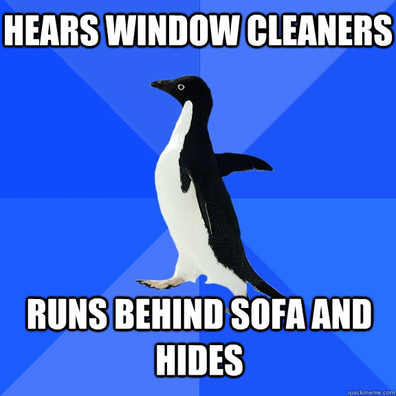 Hears Window cleaners Runs Behind Sofa and Hides  Socially Awkward Penguin