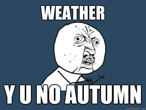 WEATHER Y u no autumn  Y U No