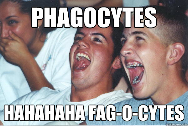 PHAGOCYTES HAHAHAHA FAG-O-CYTES  