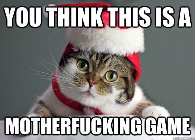 You think this is a  motherfucking game  Christmas Cat