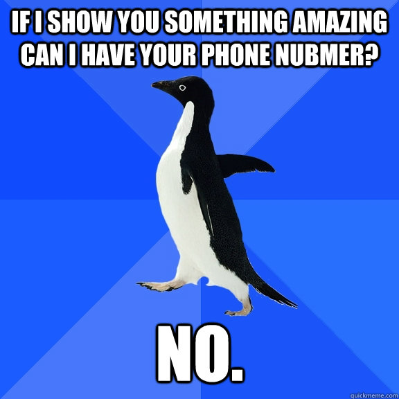 If I show you something amazing can I have your phone nubmer? No.  Socially Awkward Penguin