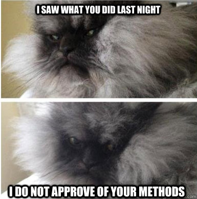 I saw what you did last night I do not approve of your methods - I saw what you did last night I do not approve of your methods  Colonel Meow