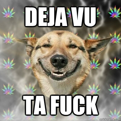 deja vu ta fuck  Stoner Dog