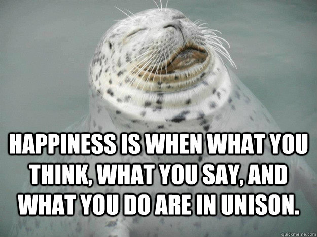 Happiness is when what you think, what you say, and what you do are in unison.  Serenity Seal