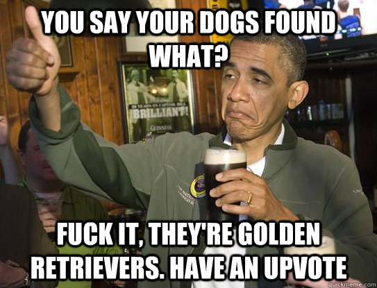 You say your dogs found what? fuck it, they're golden retrievers. have an upvote  Upvoting Obama