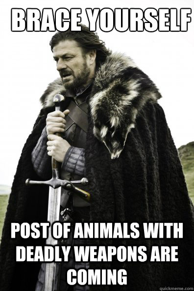 Brace yourself post of animals with deadly weapons are coming - Brace yourself post of animals with deadly weapons are coming  Oktoberfest in Winterfell