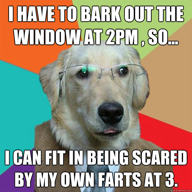 I have to bark out the window at 2PM , so...  I can fit in being scared by my own farts at 3. - I have to bark out the window at 2PM , so...  I can fit in being scared by my own farts at 3.  Business Dog