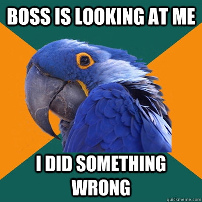 Boss is looking at me I did something wrong  Paranoid Parrot