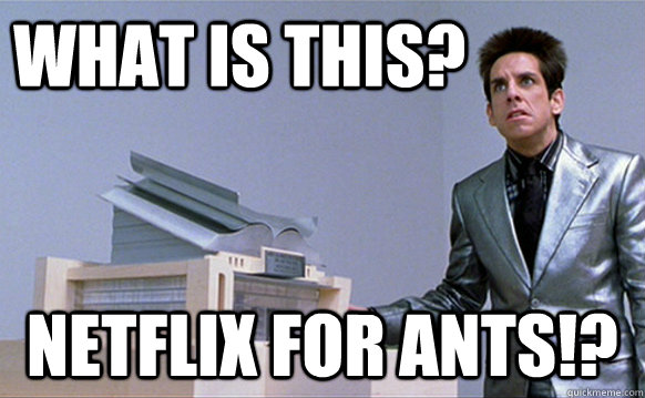 WHAT is this? Netflix for ants!?  School for ants