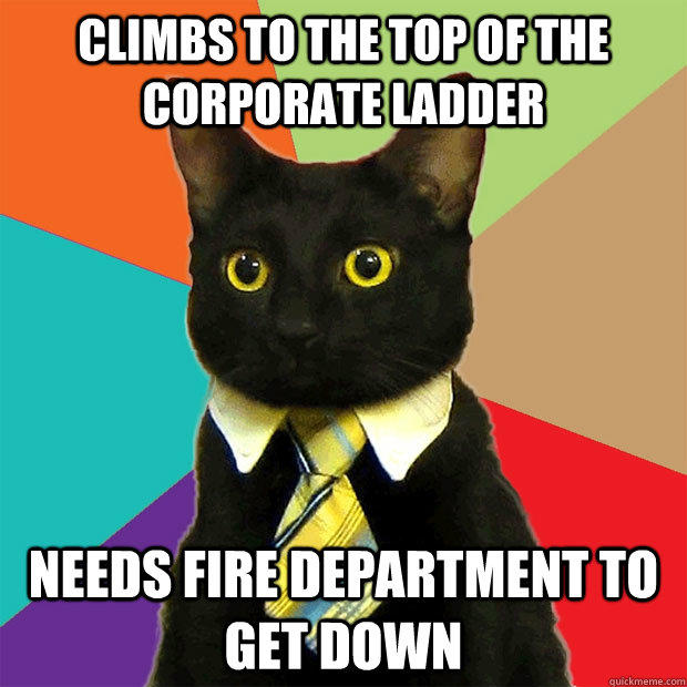 Climbs to the top of the corporate ladder Needs fire department to get down - Climbs to the top of the corporate ladder Needs fire department to get down  Business Cat