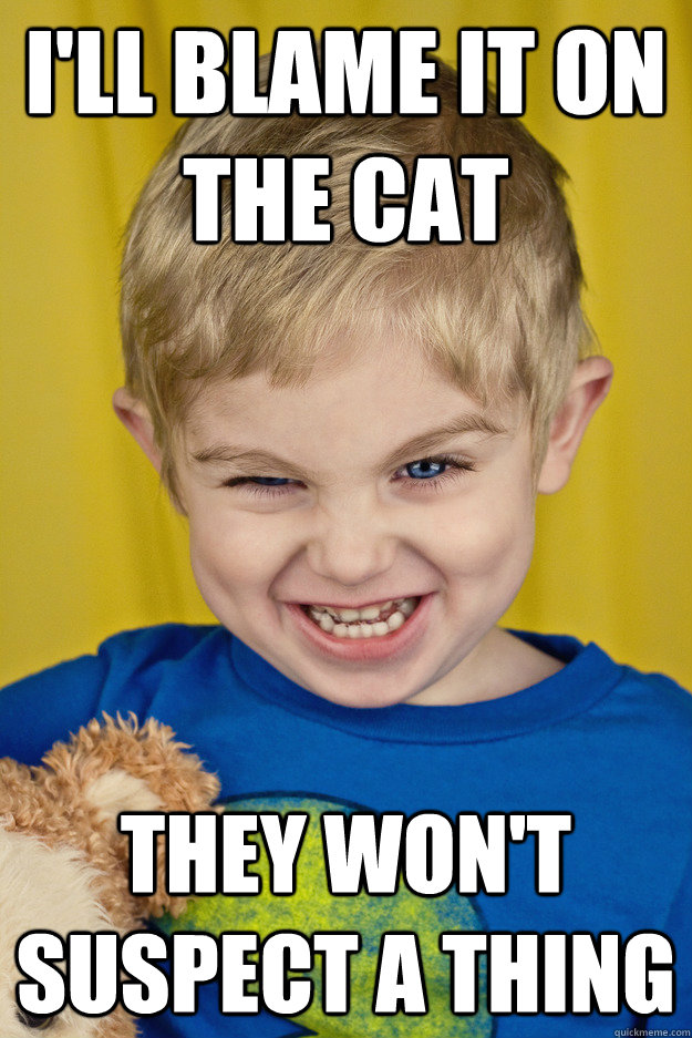 I'll blame it on the cat they won't suspect a thing - I'll blame it on the cat they won't suspect a thing  Maniacal Laughing Kid