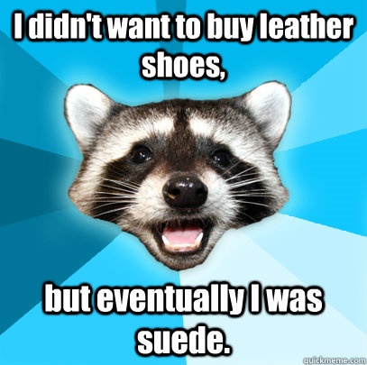 I didn't want to buy leather shoes, but eventually I was suede.  Lame Pun Coon