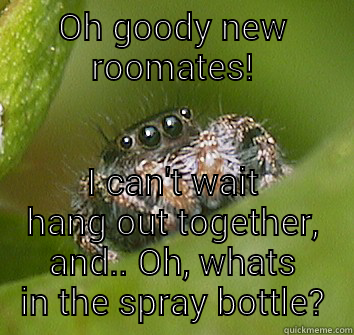 OH GOODY NEW ROOMATES! I CAN'T WAIT HANG OUT TOGETHER, AND.. OH, WHATS IN THE SPRAY BOTTLE? Misunderstood Spider