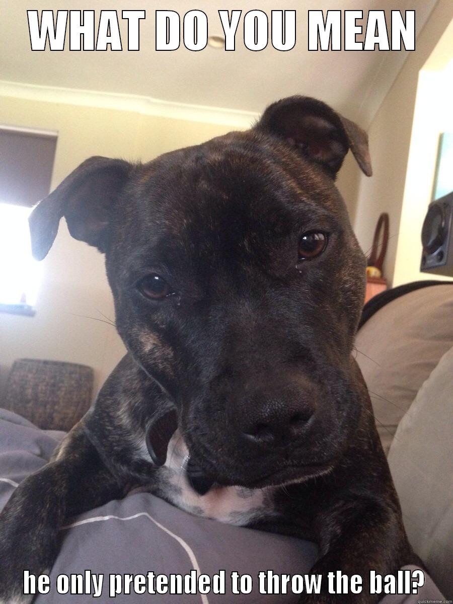 WHAT DO YOU MEAN HE ONLY PRETENDED TO THROW THE BALL? Misc
