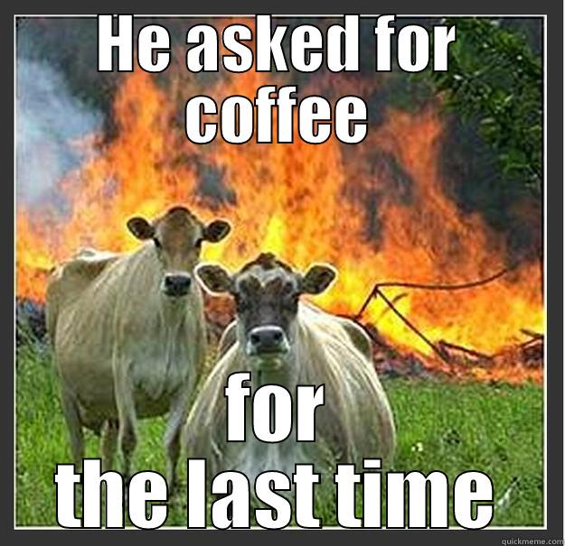 Get your own coffee - HE ASKED FOR COFFEE FOR THE LAST TIME Evil cows