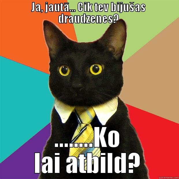 JA, JAUTĀ... CIK TEV BIJUŠAS DRAUDZENES? ........KO LAI ATBILD? Business Cat