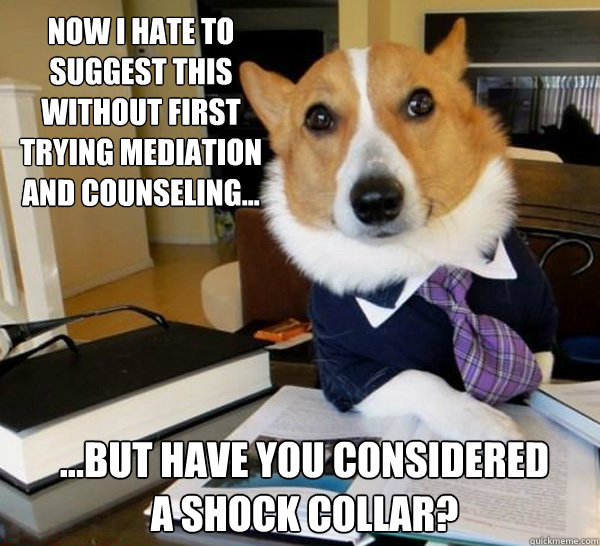 Now I hate to suggest this without first trying mediation and counseling... ...But have you considered
a shock collar?  Lawyer Dog
