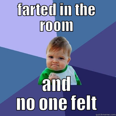 FARTED IN THE ROOM AND NO ONE FELT Success Kid