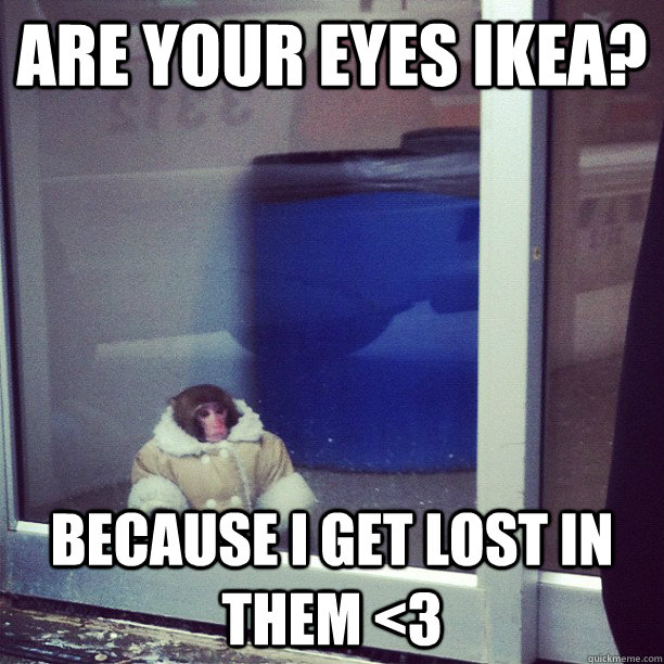 Are your eyes IKEA? because I get lost in them <3  Ikea Monkey