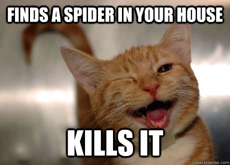 Finds a spider in your house kills it  