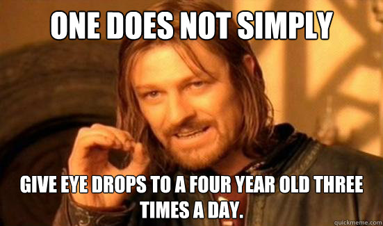 One Does Not Simply give eye drops to a four year old three times a day.  Boromir