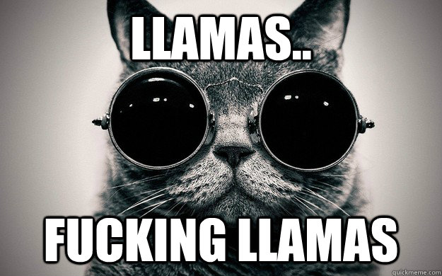 llamas.. Fucking llamas  Morpheus Cat Facts