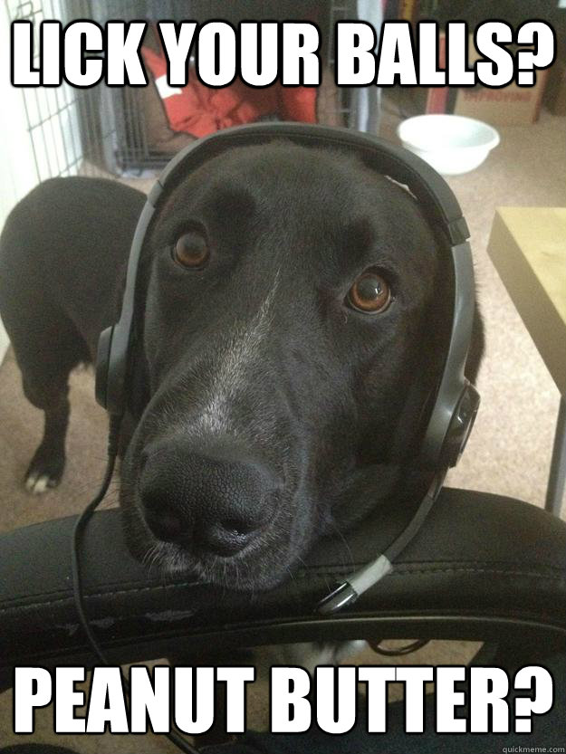 Lick your balls? Peanut butter?  Gamer Dog