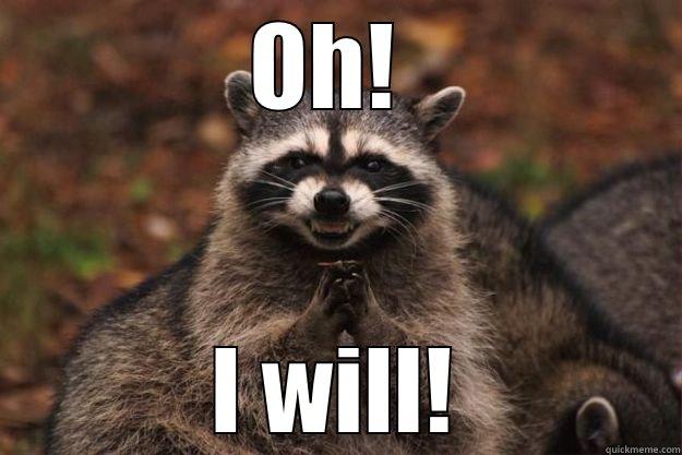 Okee dokee - OH!  I WILL! Evil Plotting Raccoon