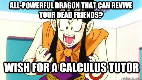 all-powerful dragon that can revive your dead friends? wish for a calculus tutor  Rational Chi-Chi