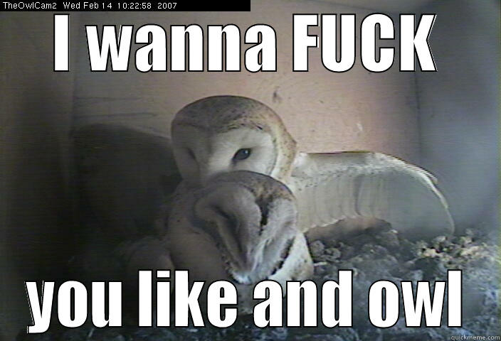 I WANNA FUCK YOU LIKE AND OWL Skeptical Owl. 