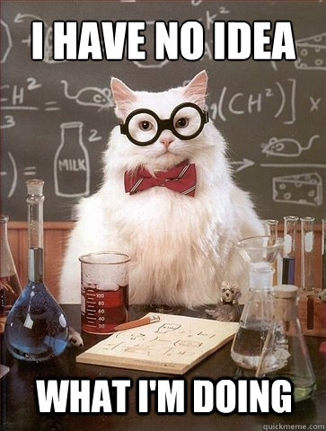 I HAVE NO IDEA WHAT I'M DOING  Chemistry Cat