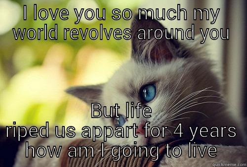 I LOVE YOU SO MUCH MY WORLD REVOLVES AROUND YOU BUT LIFE RIPED US APPART FOR 4 YEARS HOW AM I GOING TO LIVE First World Problems Cat