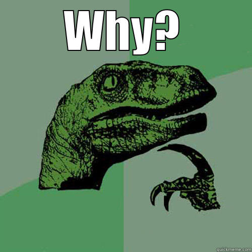 WHY?   Philosoraptor