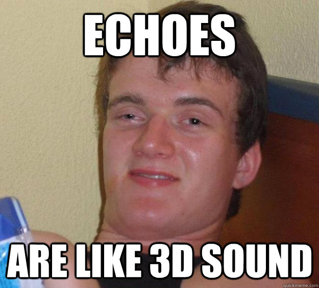 Echoes Are like 3d sound - Echoes Are like 3d sound  10 Guy