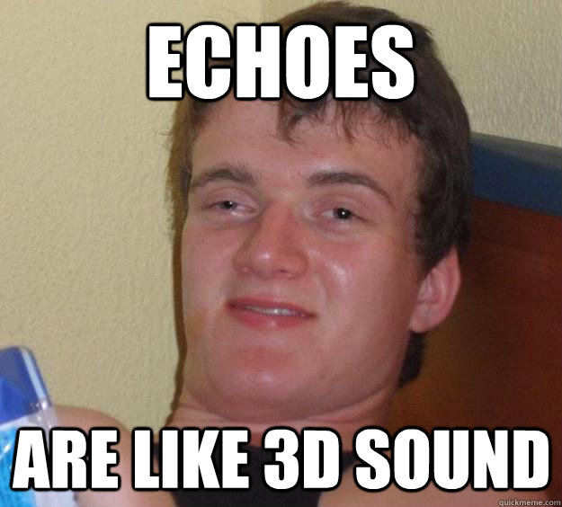 Echoes Are like 3d sound  10 Guy