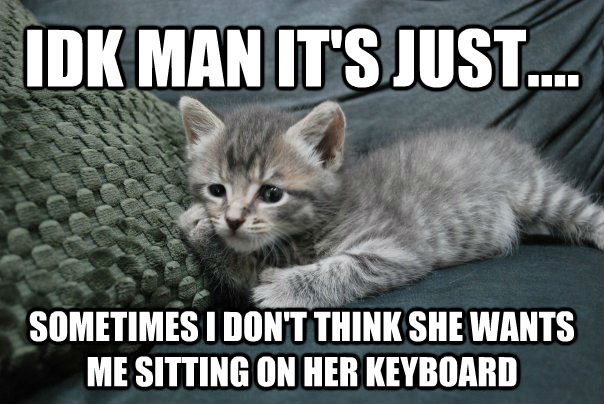 IDK MAN IT'S JUST.... SOMETIMES I DON'T THINK SHE WANTS ME SITTING ON HER KEYBOARD - IDK MAN IT'S JUST.... SOMETIMES I DON'T THINK SHE WANTS ME SITTING ON HER KEYBOARD  untitled meme